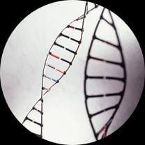 Full Embark Panel